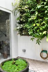 Sembawang Hills Estate (D20), Terrace #454549861